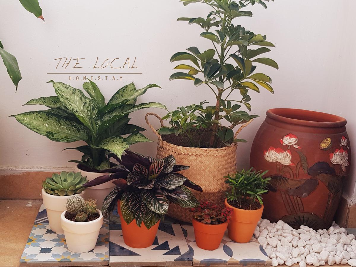 The Local Homestay Ho Chi Minh-Byen Eksteriør billede